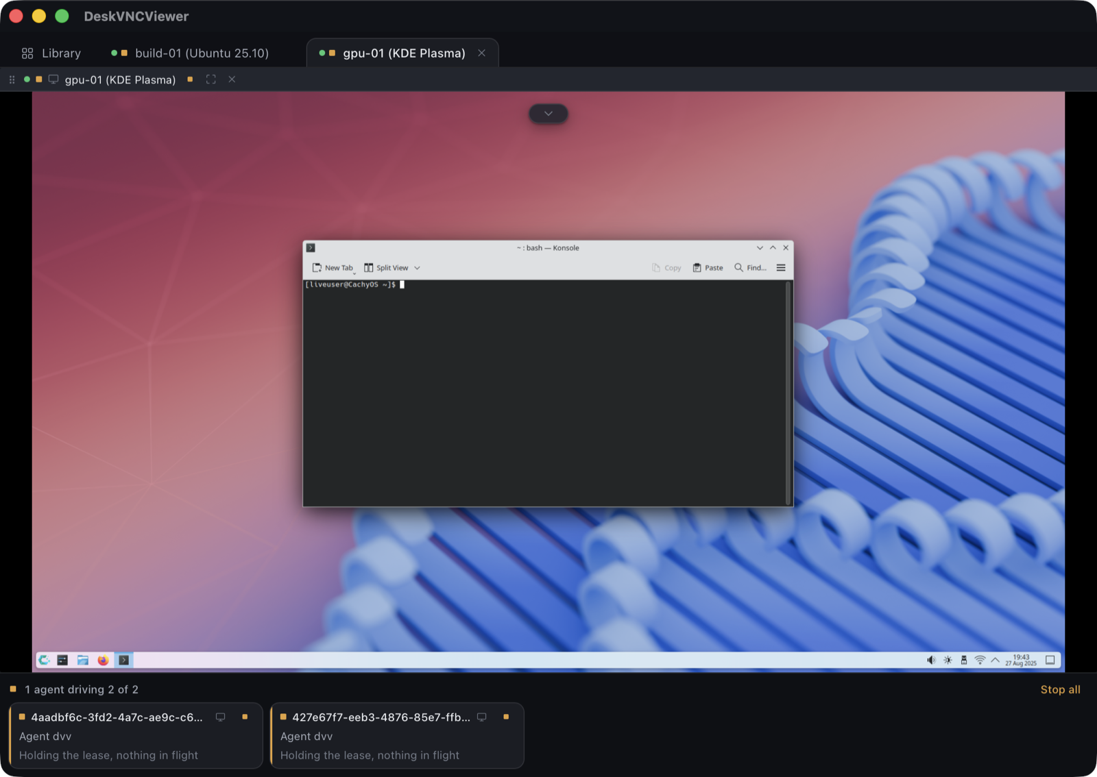 An agent holding control of two remote machines at once, seen from inside DeskVNC running on Windows, with the saved host library visible beside the session.